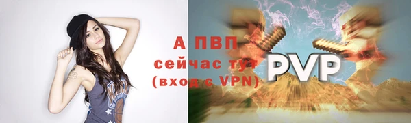 тгк Зеленокумск